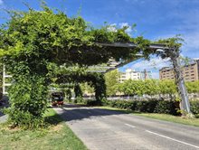 pergola busbaan Eindhoven