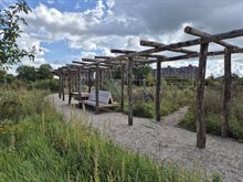 Pergola in Brasapark, Amsterdam
