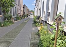 Tuinstraat Antwerpen